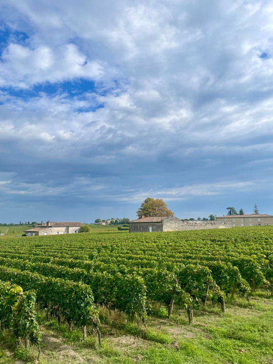 A Week In Bordeaux || What We Packed.